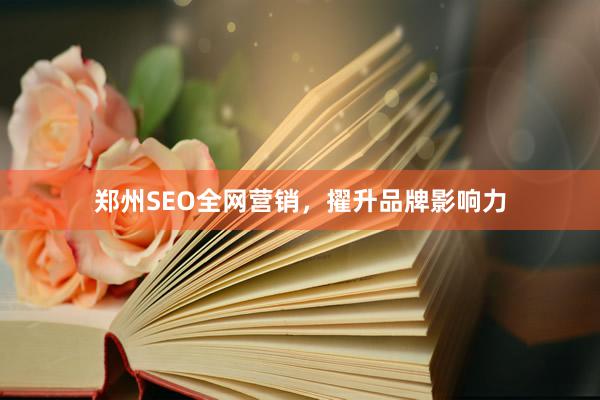 郑州SEO全网营销，擢升品牌影响力