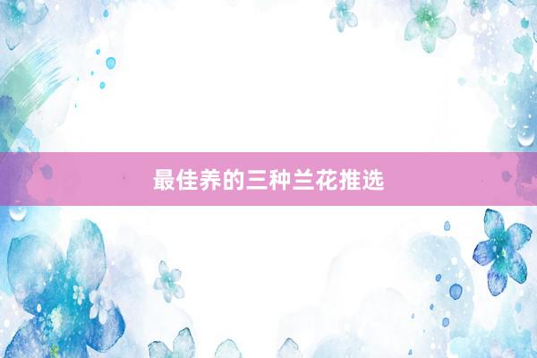 最佳养的三种兰花推选