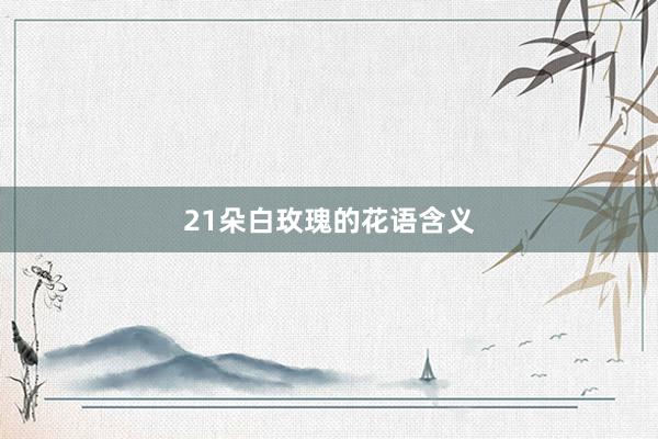 21朵白玫瑰的花语含义