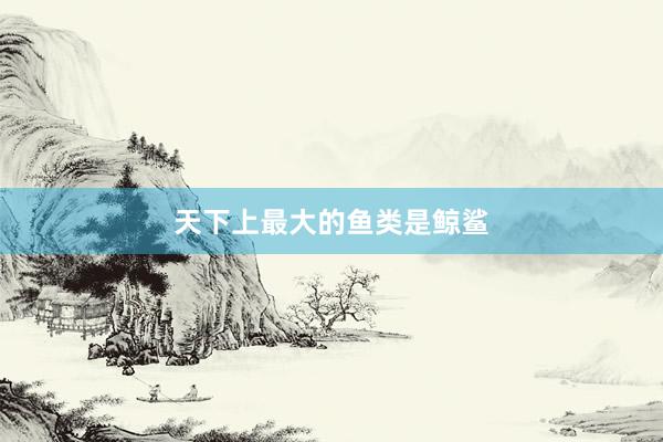 天下上最大的鱼类是鲸鲨