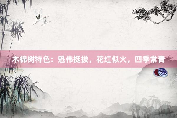 木棉树特色：魁伟挺拔，花红似火，四季常青