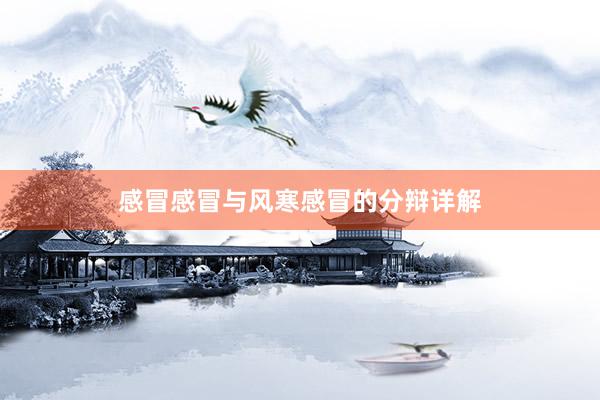 感冒感冒与风寒感冒的分辩详解